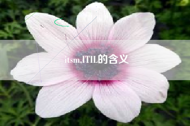 itsm,ITIL的含义