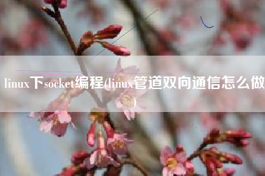 linux下socket编程(linux管道双向通信怎么做)