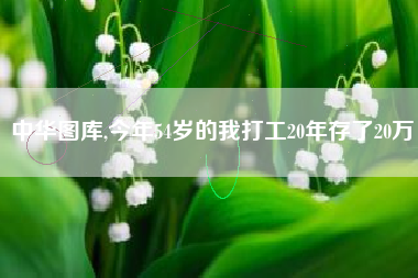 中华图库,今年54岁的我打工20年存了20万