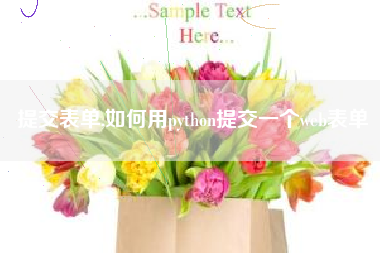 提交表单,如何用python提交一个web表单