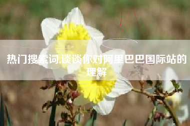 热门搜索词,谈谈你对阿里巴巴国际站的理解