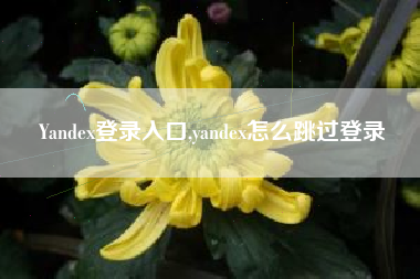 Yandex登录入口,yandex怎么跳过登录