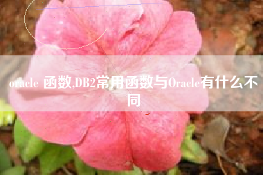 oracle 函数,DB2常用函数与Oracle有什么不同