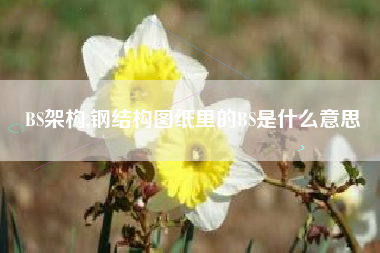 BS架构,钢结构图纸里的BS是什么意思