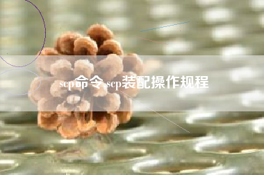 scp命令,scp装配操作规程
