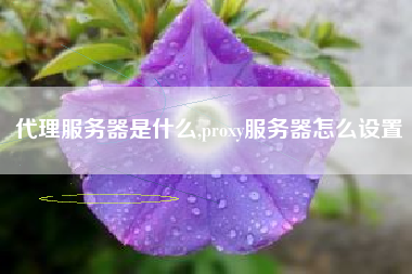 代理服务器是什么,proxy服务器怎么设置