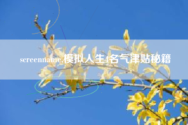 screenname,模拟人生4名气津贴秘籍