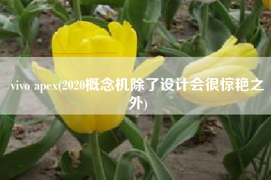 vivo apex(2020概念机除了设计会很惊艳之外)