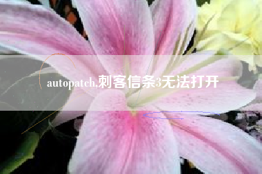 autopatch,刺客信条3无法打开