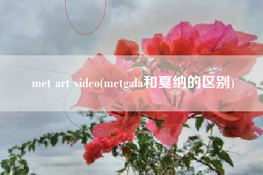 met art video(metgala和戛纳的区别)