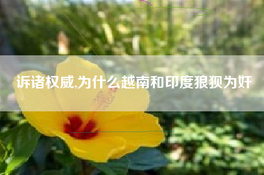 诉诸权威,为什么越南和印度狼狈为奸