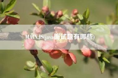 MAIN.JS(java面试题有哪些)