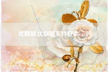 优麒麟,优麒麟支持安装exe吗