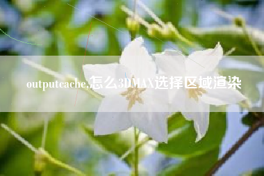 outputcache,怎么3DMAX选择区域渲染