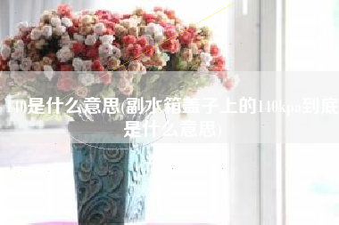 140是什么意思(副水箱盖子上的140kpa到底是什么意思)