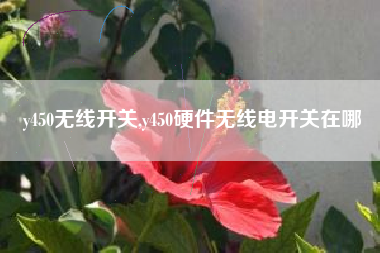 y450无线开关,y450硬件无线电开关在哪