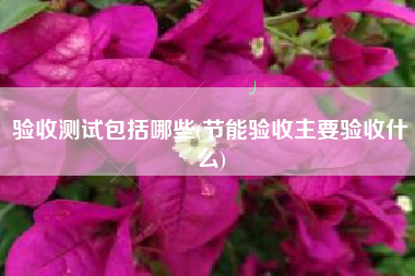 验收测试包括哪些(节能验收主要验收什么)