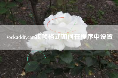 sockaddr,can线帧格式如何在程序中设置