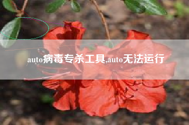 auto病毒专杀工具,auto无法运行