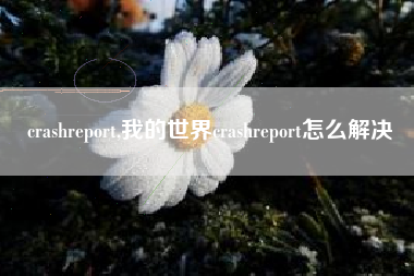 crashreport,我的世界crashreport怎么解决