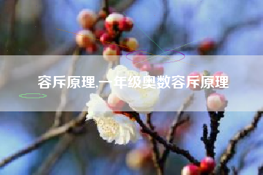 容斥原理,一年级奥数容斥原理