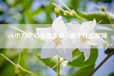 e9,小刀电动车显示屏e9属于什么故障