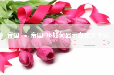 帝国 cms,帝国CMS如何显示自定义字段