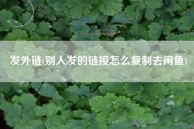 发外链(别人发的链接怎么复制去闲鱼)