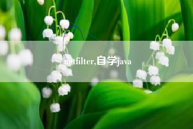 netfilter,自学java