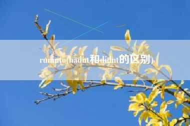 runinto(hadnt和didnt的区别)