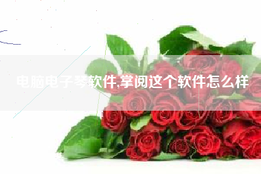 电脑电子琴软件,掌阅这个软件怎么样