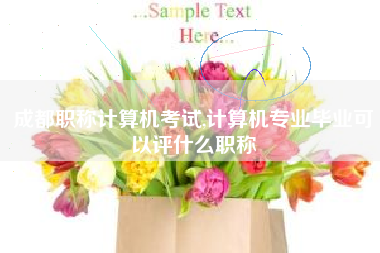 成都职称计算机考试,计算机专业毕业可以评什么职称