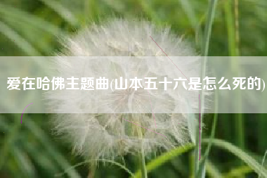 爱在哈佛主题曲(山本五十六是怎么死的)