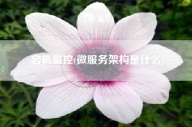 宕机监控(微服务架构是什么)