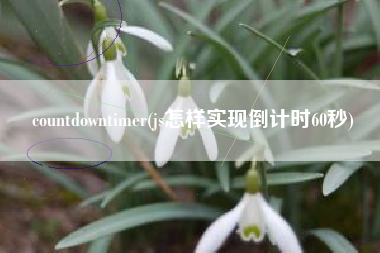 countdowntimer(js怎样实现倒计时60秒)