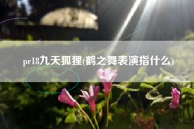 pr18九天狐狸(鹤之舞表演指什么)