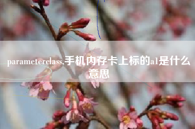 parameterclass,手机内存卡上标的a1是什么意思