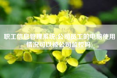 职工信息管理系统(公司员工的电脑使用情况可以被公司监控吗)