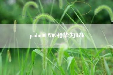 padm00,W09和华为BZK