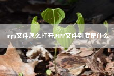 mpp文件怎么打开,MPP文件到底是什么
