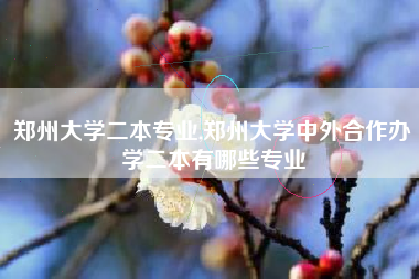 郑州大学二本专业,郑州大学中外合作办学二本有哪些专业