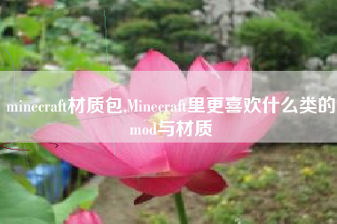 minecraft材质包,Minecraft里更喜欢什么类的mod与材质