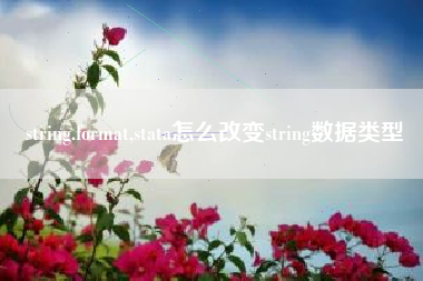 string.format,stata怎么改变string数据类型