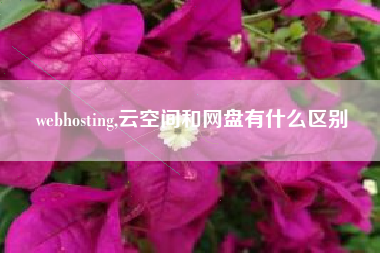 webhosting,云空间和网盘有什么区别
