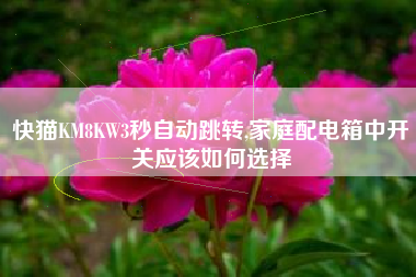 快猫KM8KW3秒自动跳转,家庭配电箱中开关应该如何选择