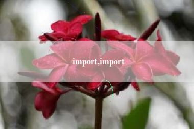 import,import
