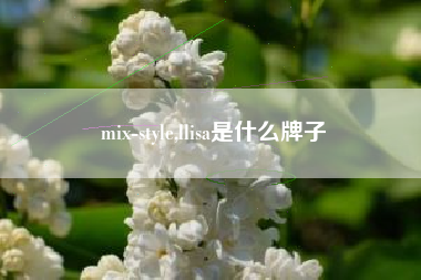 mix-style,llisa是什么牌子