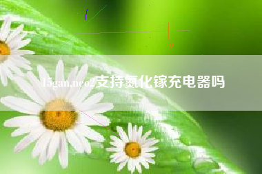 15gan,neo2支持氮化镓充电器吗