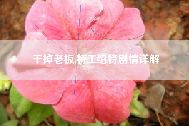 干掉老板,特工绍特剧情详解