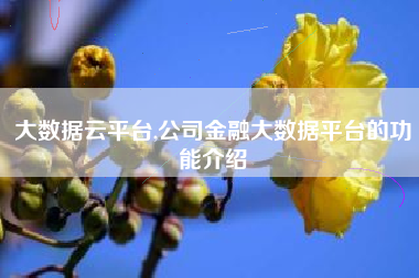 大数据云平台,公司金融大数据平台的功能介绍